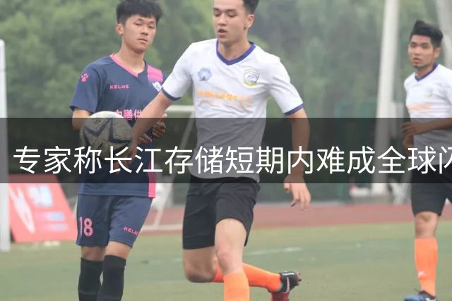 专家称长江存储短期内难成全球闪存霸主